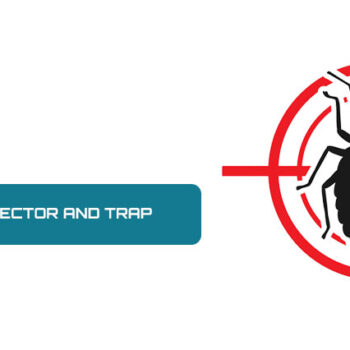 Bed Bug Detector and Trap