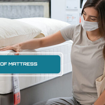 Bed Bug Proof Mattress