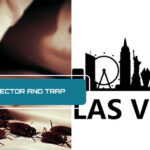 Dealing with Bed Bugs in Las Vegas Strip Hotels
