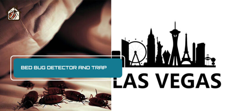 Dealing with Bed Bugs in Las Vegas Strip Hotels
