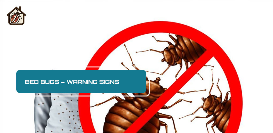 Bed Bugs – Warning Signs