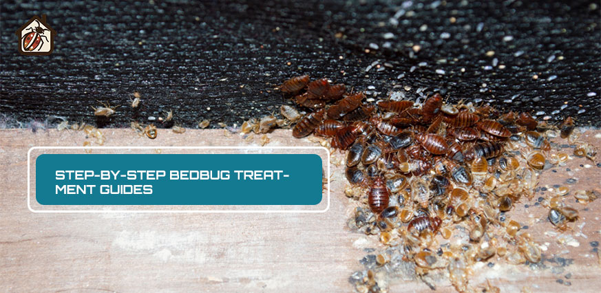 Step-by-Step Bedbug Treatment Guides