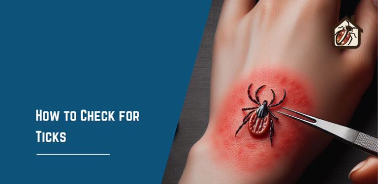 How to Check for Ticks