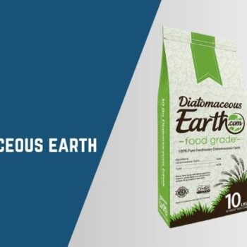 Will diatomaceous earth kill bed bugs