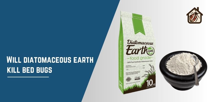 Will diatomaceous earth kill bed bugs