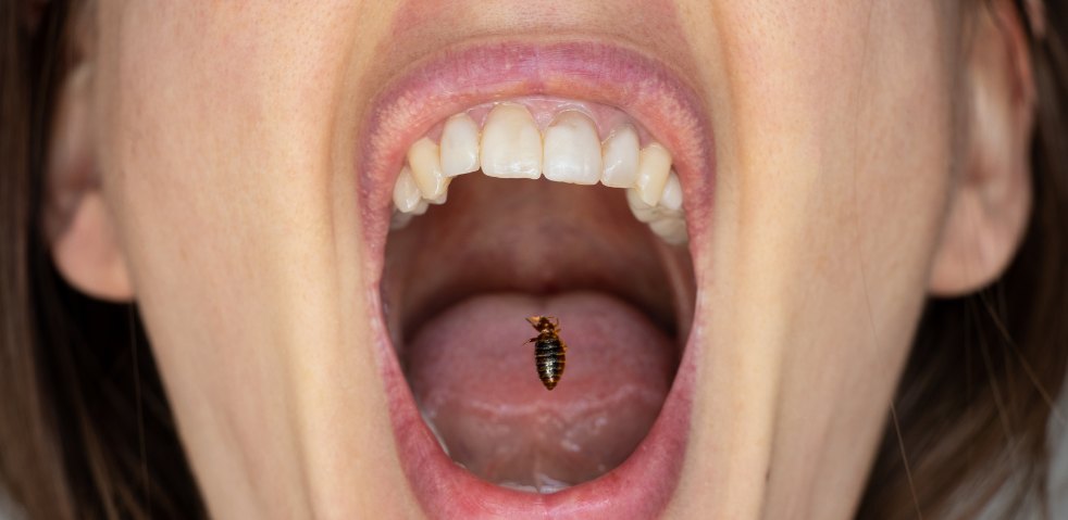 What happens when a bed bug crawls into your mouth
