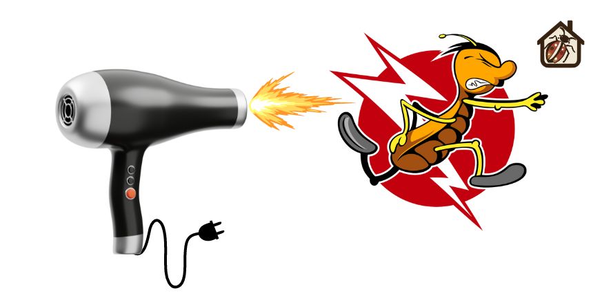 a cartoon image  of a bud bugs being fired by a hair dryer